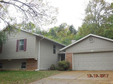 2519 Elm Forest Ct, Wildwood, MO 63011 photo 1