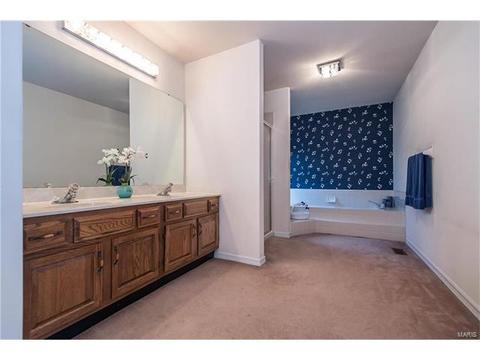 809 Ivy Trace Dr, Ballwin, MO 63021 photo 26