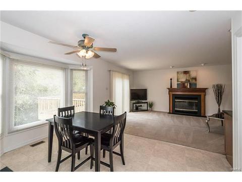 809 Ivy Trace Dr, Ballwin, MO 63021 photo 18