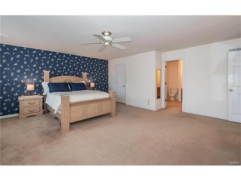 809 Ivy Trace Dr, Ballwin, MO 63021 photo 24