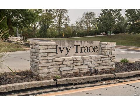 809 Ivy Trace Dr, Ballwin, MO 63021 photo 39