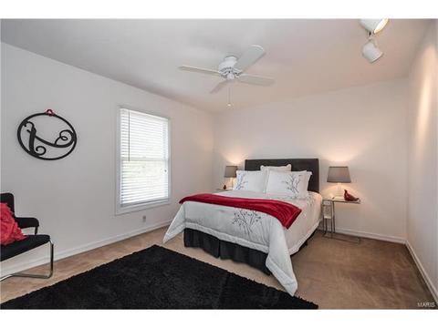 809 Ivy Trace Dr, Ballwin, MO 63021 photo 30