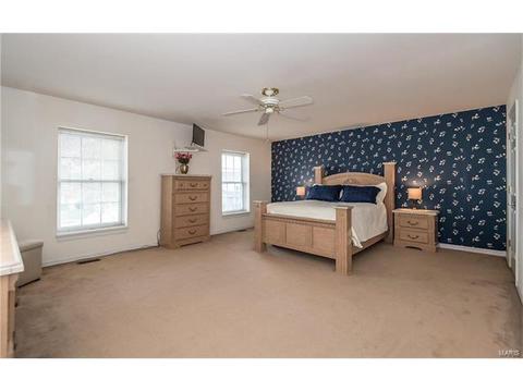 809 Ivy Trace Dr, Ballwin, MO 63021 photo 23