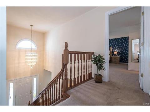 809 Ivy Trace Dr, Ballwin, MO 63021 photo 28