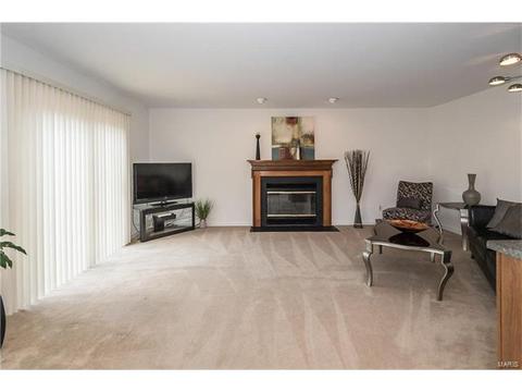 809 Ivy Trace Dr, Ballwin, MO 63021 photo 19