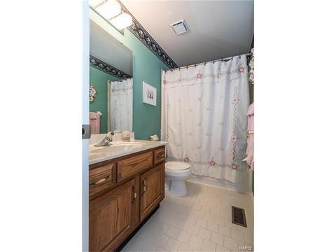 809 Ivy Trace Dr, Ballwin, MO 63021 photo 29
