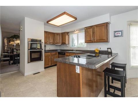 809 Ivy Trace Dr, Ballwin, MO 63021 photo 17