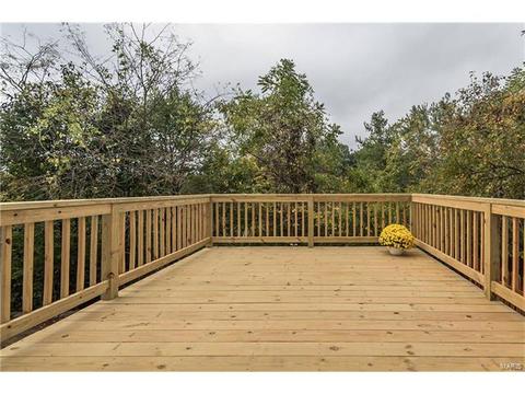 809 Ivy Trace Dr, Ballwin, MO 63021 photo 38