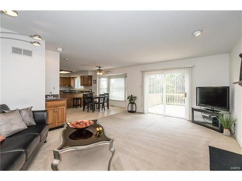 809 Ivy Trace Dr, Ballwin, MO 63021 photo 21