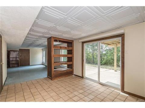 809 Ivy Trace Dr, Ballwin, MO 63021 photo 35