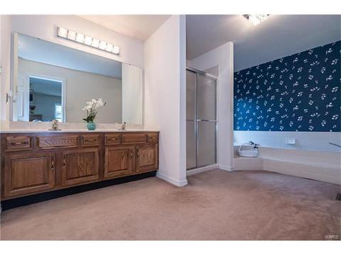 809 Ivy Trace Dr, Ballwin, MO 63021 photo 25