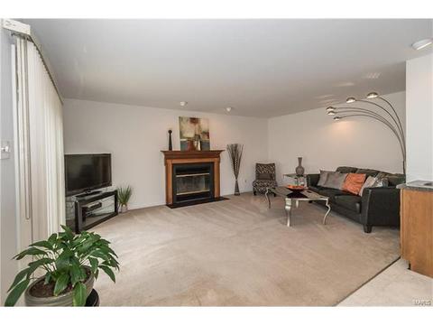 809 Ivy Trace Dr, Ballwin, MO 63021 photo 20
