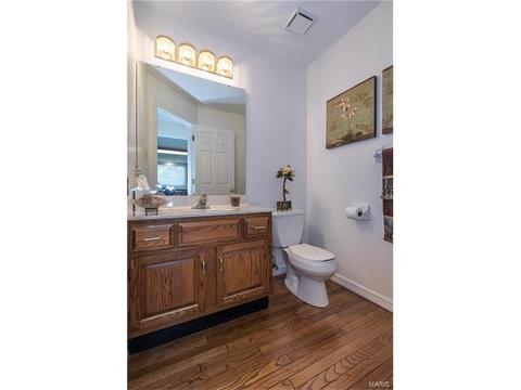 809 Ivy Trace Dr, Ballwin, MO 63021 photo 5