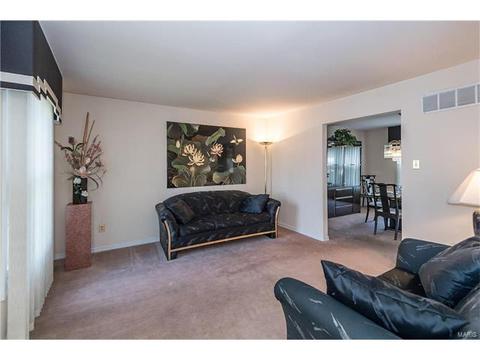 809 Ivy Trace Dr, Ballwin, MO 63021 photo 6