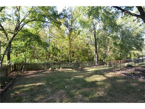 1151 Hollyberry Dr, Ballwin, MO 63021 photo 28