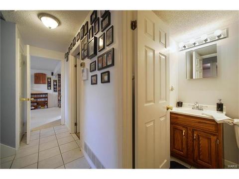 261 Braeshire Dr, Ballwin, MO 63021 photo 26