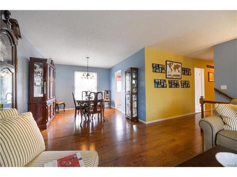 261 Braeshire Dr, Ballwin, MO 63021 photo 5