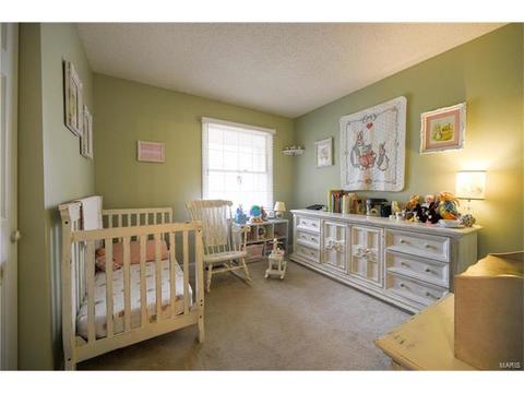 261 Braeshire Dr, Ballwin, MO 63021 photo 20