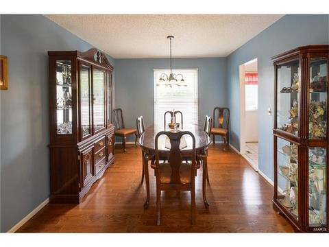 261 Braeshire Dr, Ballwin, MO 63021 photo 7