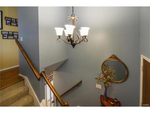261 Braeshire Dr, Ballwin, MO 63021 photo 22