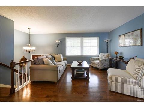 261 Braeshire Dr, Ballwin, MO 63021 photo 4
