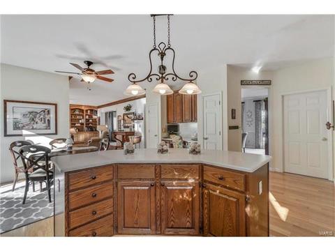 527 Arbor Meadow Dr, Ballwin, MO 63021 photo 16