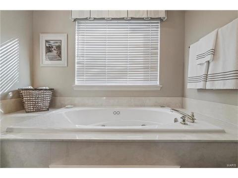 527 Arbor Meadow Dr, Ballwin, MO 63021 photo 25