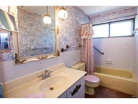 804 Rotherham Dr, Ballwin, MO 63011 photo 17