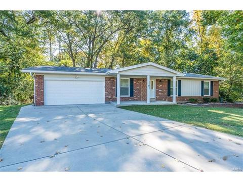 712 Valley View Dr, Manchester, MO 63011 photo 47