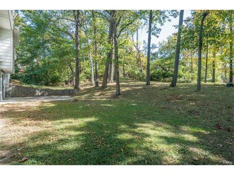 712 Valley View Dr, Manchester, MO 63011 photo 43