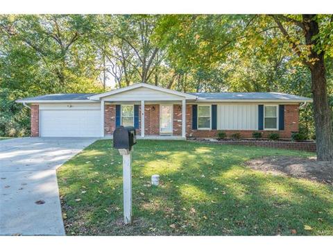 712 Valley View Dr, Manchester, MO 63011 photo 44