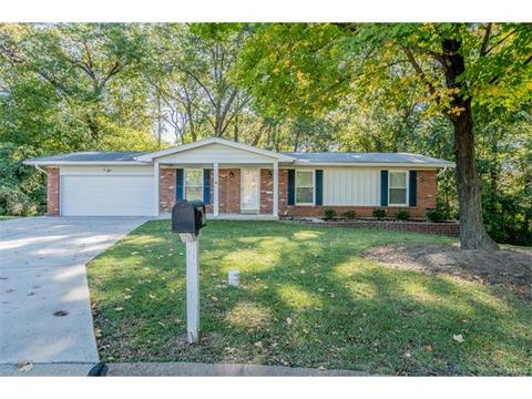 712 Valley View Dr, Manchester, MO 63011 photo 1