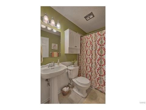 420 Fire Tree Ln, O'fallon, MO 63368 photo 11