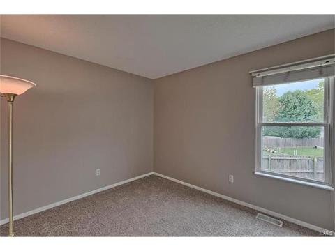 420 Fire Tree Ln, O'fallon, MO 63368 photo 10