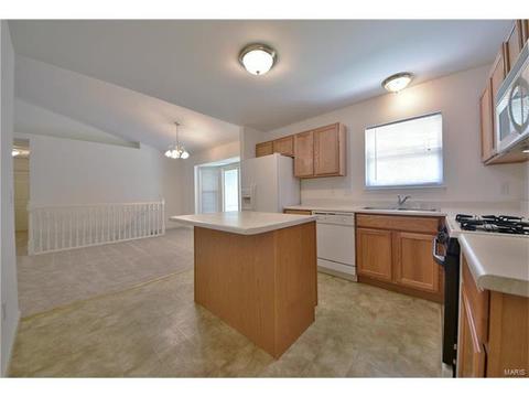18 S Lang Dr, O'fallon, MO 63366 photo 4
