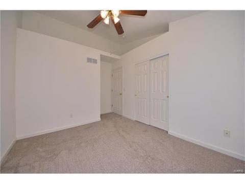 18 S Lang Dr, O'fallon, MO 63366 photo 20