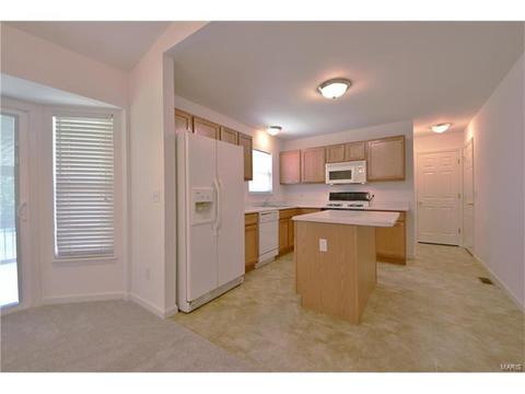 18 S Lang Dr, O'fallon, MO 63366 photo 11