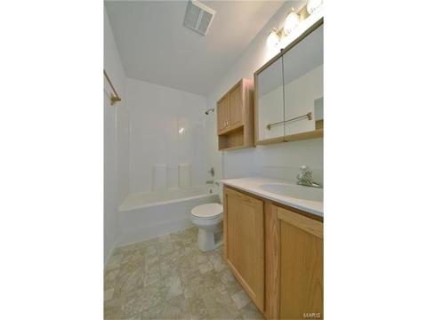 18 S Lang Dr, O'fallon, MO 63366 photo 17