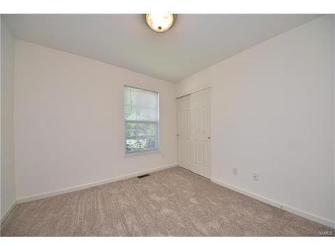 18 S Lang Dr, O'fallon, MO 63366 photo 21