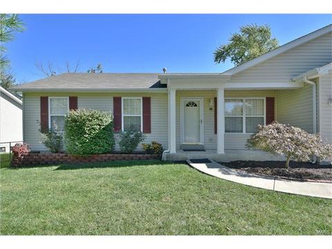 18 S Lang Dr, O'fallon, MO 63366 photo 31