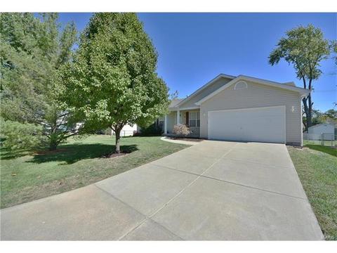 18 S Lang Dr, O'fallon, MO 63366 photo 32