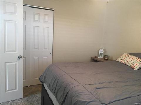 319 Weber, Eureka, MO 63025 photo 24