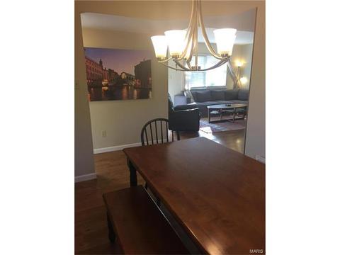 319 Weber, Eureka, MO 63025 photo 8
