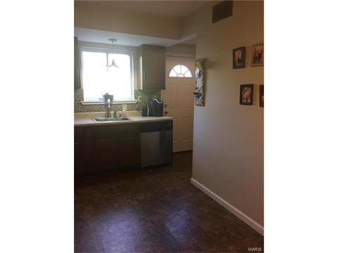 319 Weber, Eureka, MO 63025 photo 20