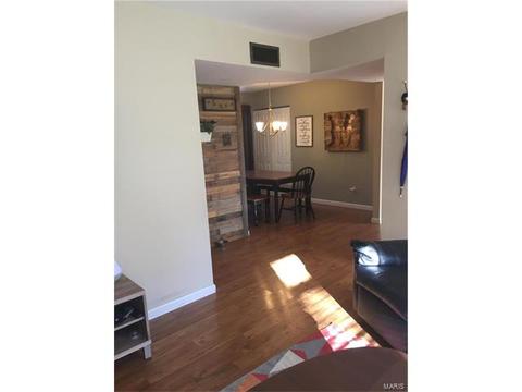 319 Weber, Eureka, MO 63025 photo 6
