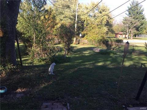 319 Weber, Eureka, MO 63025 photo 35