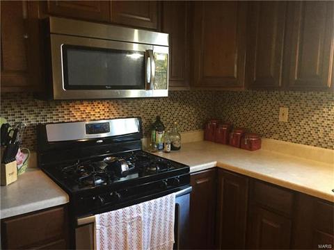 319 Weber, Eureka, MO 63025 photo 15