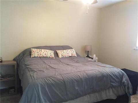 319 Weber, Eureka, MO 63025 photo 25