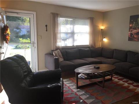 319 Weber, Eureka, MO 63025 photo 17