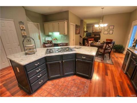 531 Arbor Meadow Dr, Ballwin, MO 63021 photo 14